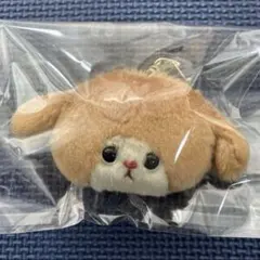 作家様ぬいぐるみ ぬいぐるみ作家・コボリサヤカさん、ラフォーレ原宿に限定店 - シブヤ