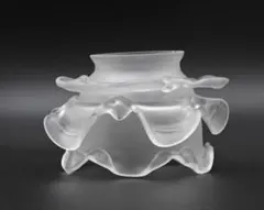 ラリック シルヴィー LALIQUE SYLVIE F LOWER VASE花瓶 - メルカリ