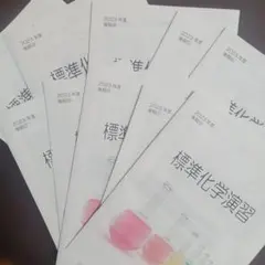 サトリン様 リクエスト 2点 まとめ商品