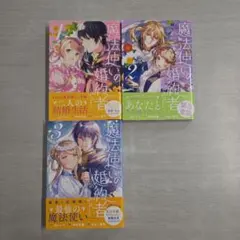 オパール文庫4冊セット - メルカリ