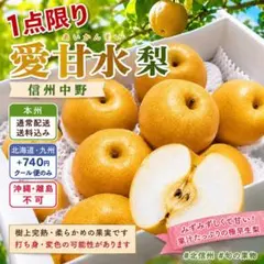 信州中野 愛甘水 梨 約1.6〜1.8kg レア品種　家庭用のサムネイル