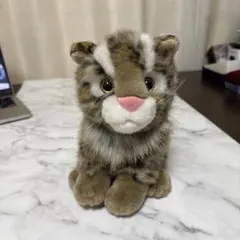 イリオモテヤマネコ 西表山猫ぬいぐるみ 特別天然記念物 沖縄西表島