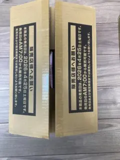 超希少】遊戯王 初版 パワーオブジエレメンツ 未開封 カートン 中国