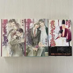 和泉桂　暁天(そら)の彼方に降る光 上下セット＋貴公子の求婚セット