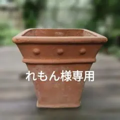 2026年最新】ワンダーデコール 鉢の人気アイテム - メルカリ