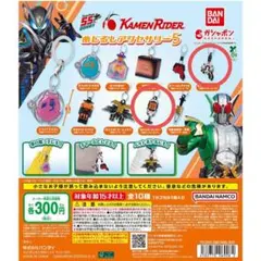 仮面ライダー めじるしアクセサリー5　ハイパーゼクター・マグナムバックルセット！