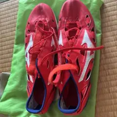 Mizuno クロノインクスネオ