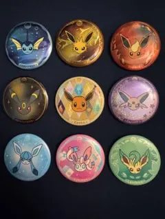 ポケモン 中国限定 太晶盛聚 イーブイズ 缶バッジ テラスタルフェス