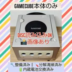 動作確認済 任天堂 ゲームキューブ ニンテンドー Nintendo 本体のみ
