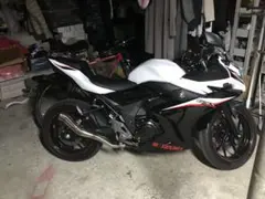 スズキ GSX250FX 2005年式 最終型 おまけ付き - メルカリ