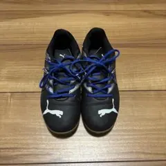 Item thumbnail for item 30b9ce52-1902-4aa1-b633-df3e43559e28