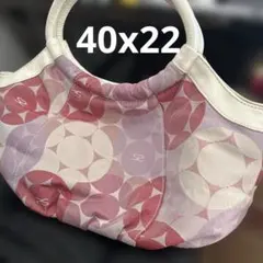 Item thumbnail for item c43cdb1e-cfe7-4ff5-ac62-095d5bf041ab