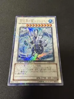 2026年最新】氷結界の龍トリシューラ dtcの人気アイテム - メルカリ