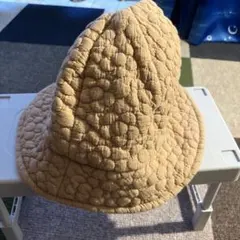 Item thumbnail for item af3c2398-8778-461e-8c62-7b6ceff31575