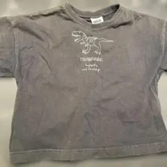 BREEZE T-REXプリント グレー Tシャツ