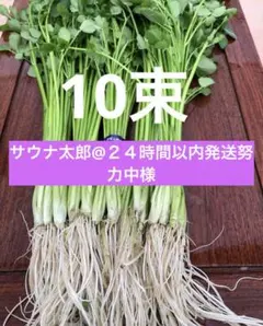 専用　13日発送