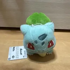 2025年最新】pokemon timeの人気アイテム - メルカリ