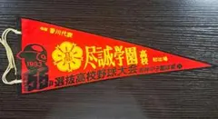 第55回選抜高校野球大会 立命館高校 ペナント1983年 第55回選抜高校野球大会 立命館高校 ペナント1983年 - メルカリ
