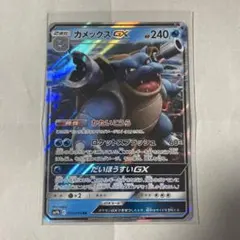 カメックスGX RR SM9b フルメタルウォール 010/054