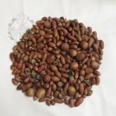 Item thumbnail for item 58d86200-5e4b-436a-a7dd-b734ead62df4