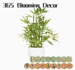 365 Blooming Decor 観賞用人工竹盆栽 人工観葉植物 造花