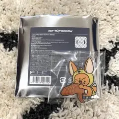 TXT PPULBATU ご当地プルバトゥ バッジ　愛知　ファンチュン　匿名配送