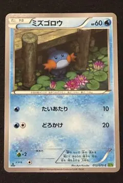 ミズゴロウ C 1ED XY5 タイダルストーム 012/070 - メルカリ