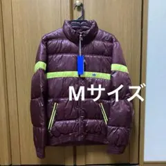 Item thumbnail for item 2b99a267-a459-4192-a87c-9a20cf94a2bf