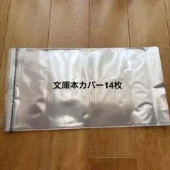 Item thumbnail for item ed02bbc2-9ab2-4598-bb2a-1543206a7f53