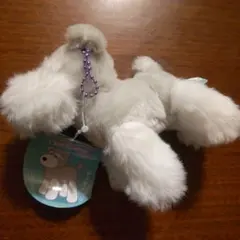 新品未使用 シュナとボブ ぬいぐるみ