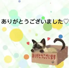 1168】海外 6m巻 マットPETカッティングマスキングテープ 果物ねこ