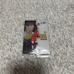 男子バレー 日本代表 石川祐希 ツインウエハース