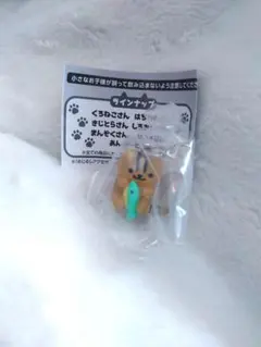 ねこあつめ2☺︎ ︎めじるしアクセサリー2