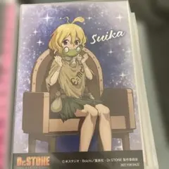 Dr.STONE スイカ アモカフェ