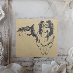 ラバースタンプ シェルティ