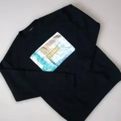 メンズトレーナー 裏起毛 size L ブラック