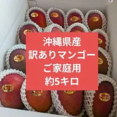 沖縄県産 アップルマンゴー 訳あり５キロ 沖縄県産 アップルマンゴー 訳あり約5キロ - メルカリ