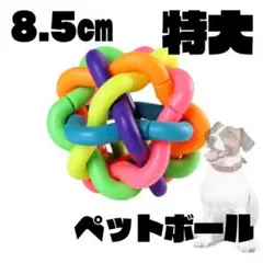 Item thumbnail for item 820520f2-8252-43f0-aef0-4c4d3ffec9f3