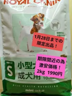 ROYAL CANIN 小型犬の成犬用 Sサイズ