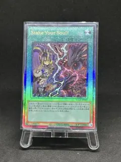 遊戯王OCG ステイクユアソウル　レリーフ