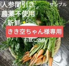 農薬不使用！野菜✨人参間引き　人参の葉っぱ　人参葉　うさぎおやつ小動物おやつ