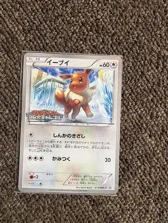 ポケモンカード イーブイ　ジムチャレンジ　プロモカード　美品