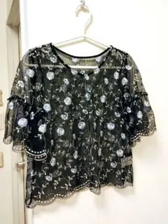 PAGE BOY シースルーTシャツ シアーカットソー　刺繍トップス　ブラウス