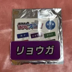 超特急 ふじびじスクール 名札バッジ リョウガ