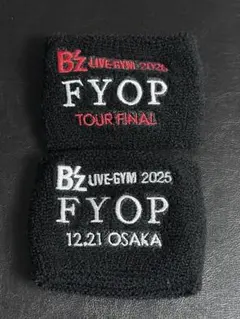 B'z FYOP＋ ガチャガチャ ファイナル リストバンド カセットチャーム
