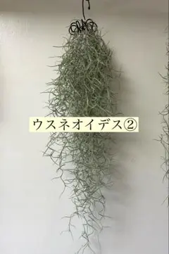 ☆mikko☆様 リクエスト 2点 まとめ商品