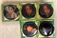 鬼滅の刃 無限城編 ものがたる眼差し A 冨岡義勇 痣　炭治郎　慶蔵　缶バッジ