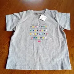 Item thumbnail for item 07f76cc2-e46a-42b3-bc01-76ce1d55be12