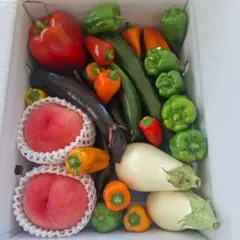 新鮮野菜と桃の詰め合わせセットのサムネイル