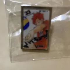 2026年最新】ハイキュー 全巻 ピンズの人気アイテム - メルカリ